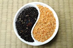 直線(xiàn)振動(dòng)篩在芝麻除雜中的應(yīng)用